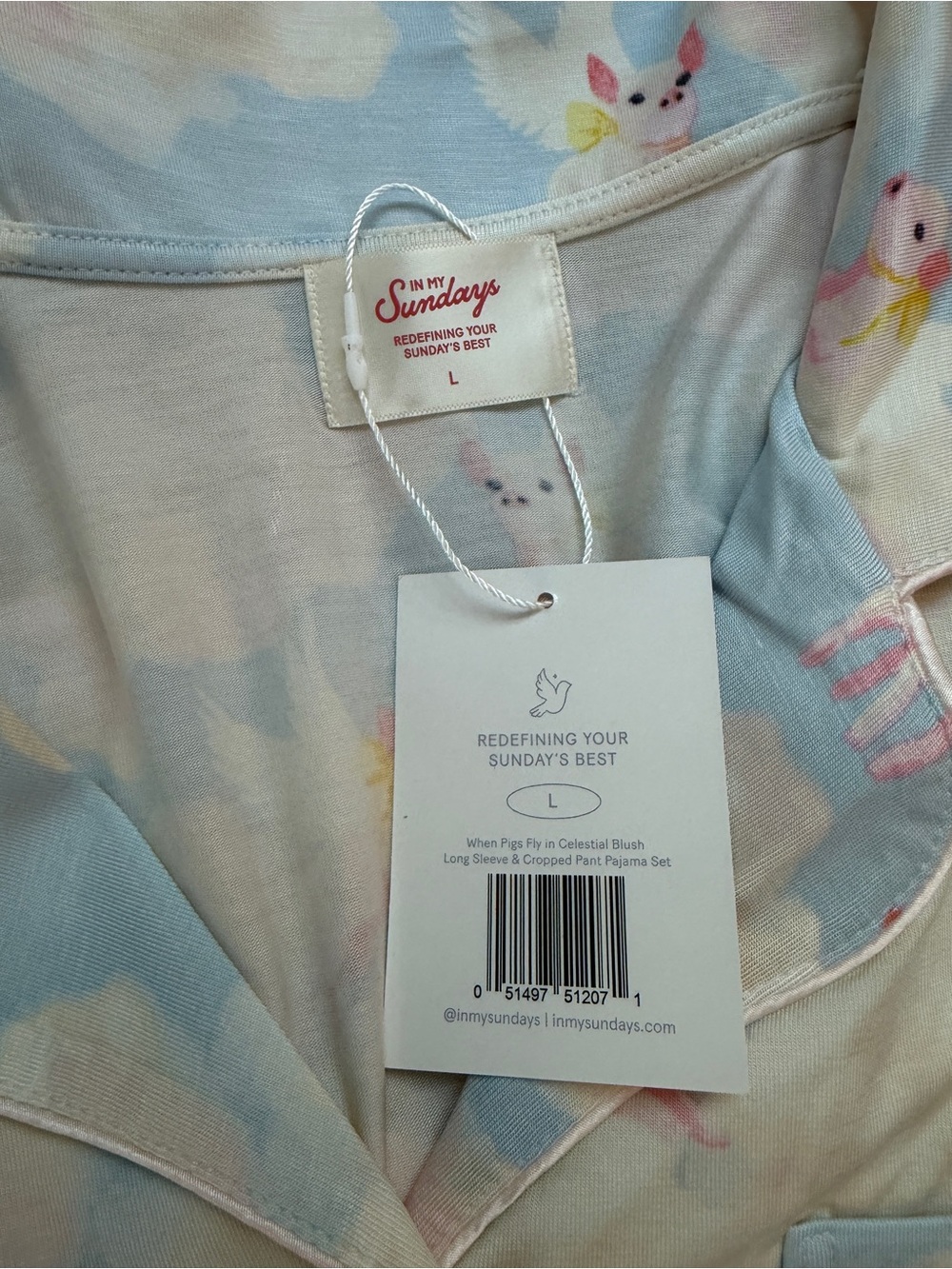 Mama Pastel pigs fly  Pajama Set - Soft Blue & Cream - Picture 4 of 6